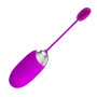 Виброяйцо серии Pretty Love "ABNER" BI-014362HP