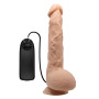 Вибратор на присоске " SEXTOY TOP PENIS " BW-008041Z