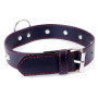 Нашийник зі штучної шкіри з металевими заклепками Fetish Boss Series - Collar with studs Red Line