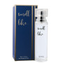 Парфюмерная вода с феромонами для мужчин Smell Like # 10 for Man, 30 ml