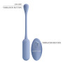Віброяйце з дистанційним управлінням Pretty Love - Lechies Dream chaser 5 Blue, BI-014867W-A5