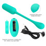 Виброяйцо с дистанционным управлением Pretty Love - Lechies Dream chaser 5 Green, BI-014867W-A4