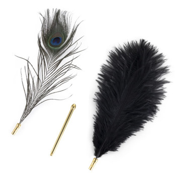 Лоскітка LOCKINK SEVANDA Natural Peacock Flirting Feather Tickler, пір’я павича та страуса