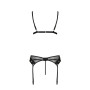 Комплект белья Passion NESSY SET XXL/XXXL black, бюстгальтер, пояс для чулок, стринги
