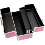 Большой кейс для хранения секс-игрушек BMS Factory Large Lokable Vibrator Case Pink, кодовый замок