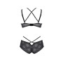 Комплект Passion DROSERA BIKINI black, L/XL, бюстгальтер и трусики-кюлоты