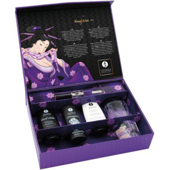 Подарочный набор Shunga Naughtier Kit, 5 продуктов для интимной стимуляции