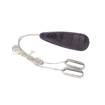 Вібропулі сріблясті Chisa Hi-Basic Double Play Bullets Vibrator з чорним пультом управління