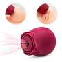 Вакуумний кліторальний стимулятор Chisa Rose Petal (Rose Red)