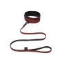 Повідець Fifty Shades of Grey Sweet Anticipation Reversible Faux Leather Collar and Lead