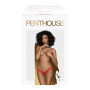 Трусики Penthouse Dangerous darling red (M/L)
