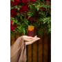 Духи з феромонами жіночі SHIATSU Pheromone Fragrance women red 15 ml