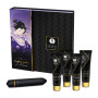 Набор возбуждающей косметики + вибопуля Shunga NAUGHTY GEISHA COLLECTION 31ML
